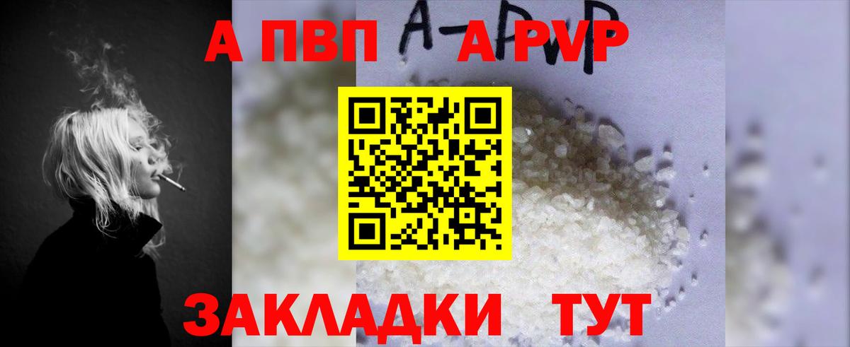 Альфа ПВП СК Кондопога