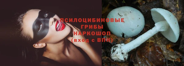 альфа пвп Нея