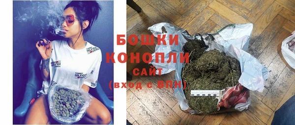 шишки Нефтегорск