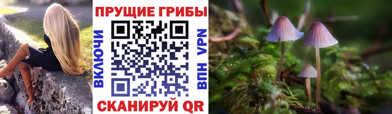 Псилоцибиновые грибы ЛСД  Кондопога 