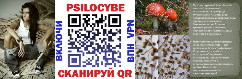 Галлюциногенные грибы ЛСД Кондопога