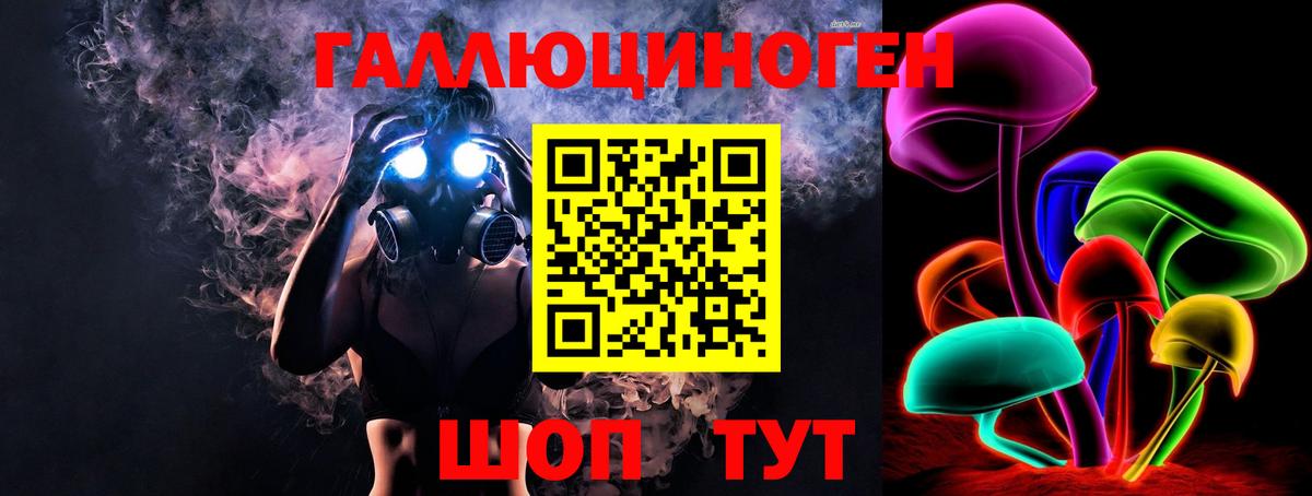 Кондопога  где продают наркотики  Псилоцибиновые грибы MAGIC MUSHROOMS  Вход с VPN  Псилоцибиновые грибы ЛСД 